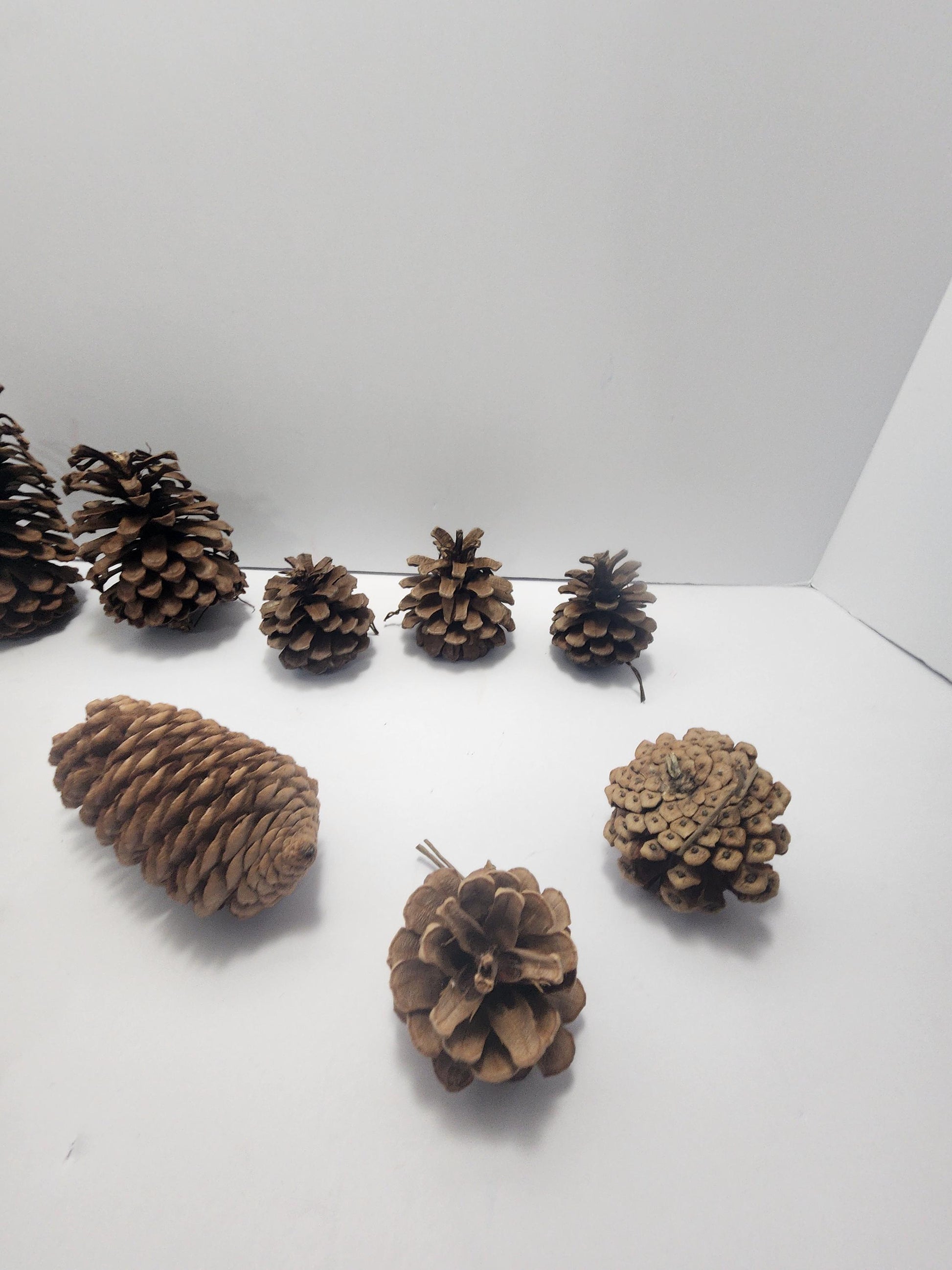 Decorative Pinecones LOT - Decorations - Decor - Outdoors - Pinecones - Christmas - Christmas Decorations