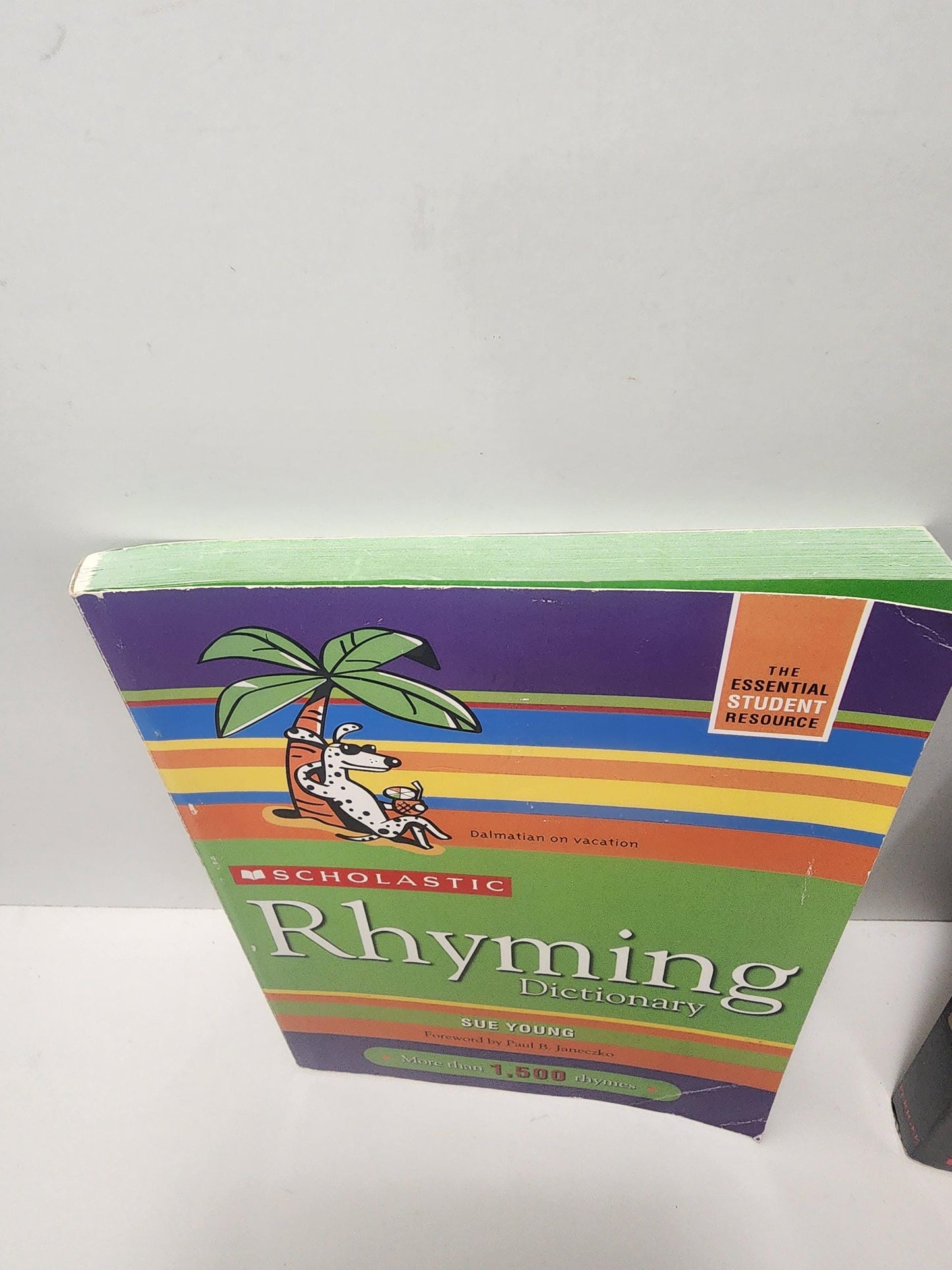 1994 Scholastic Rhyming Dictionary by Sue Young - 1990s - Learning Books - Educational Books - Scholastic - Scholastic Books - Rhyming