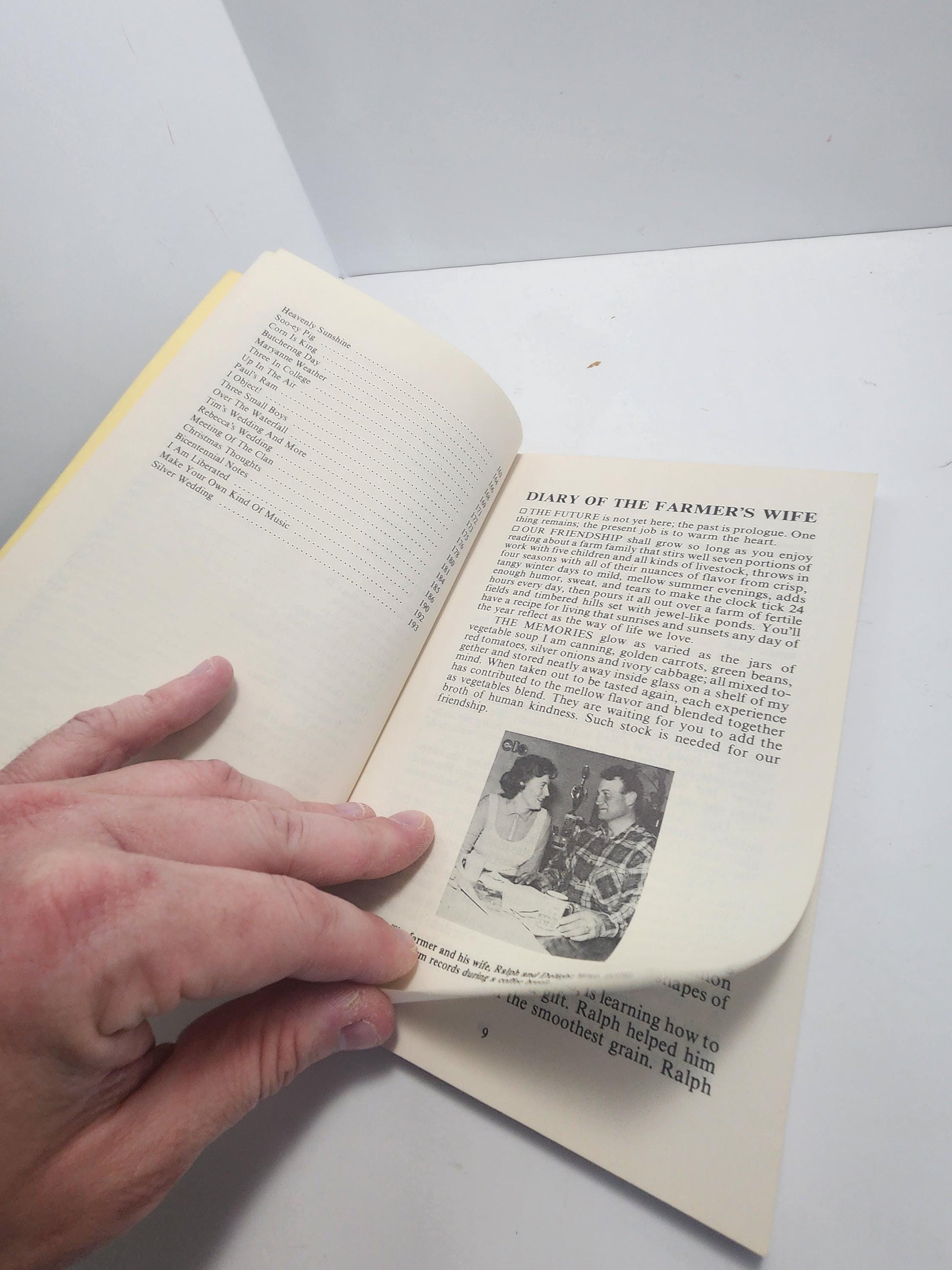 1981 Diary Of The Farmer's Wife - Delight Bobilya Wier - Delight Wier Books - Farmer - Farming - Farmer's Wife - 1980's - Vintage Books