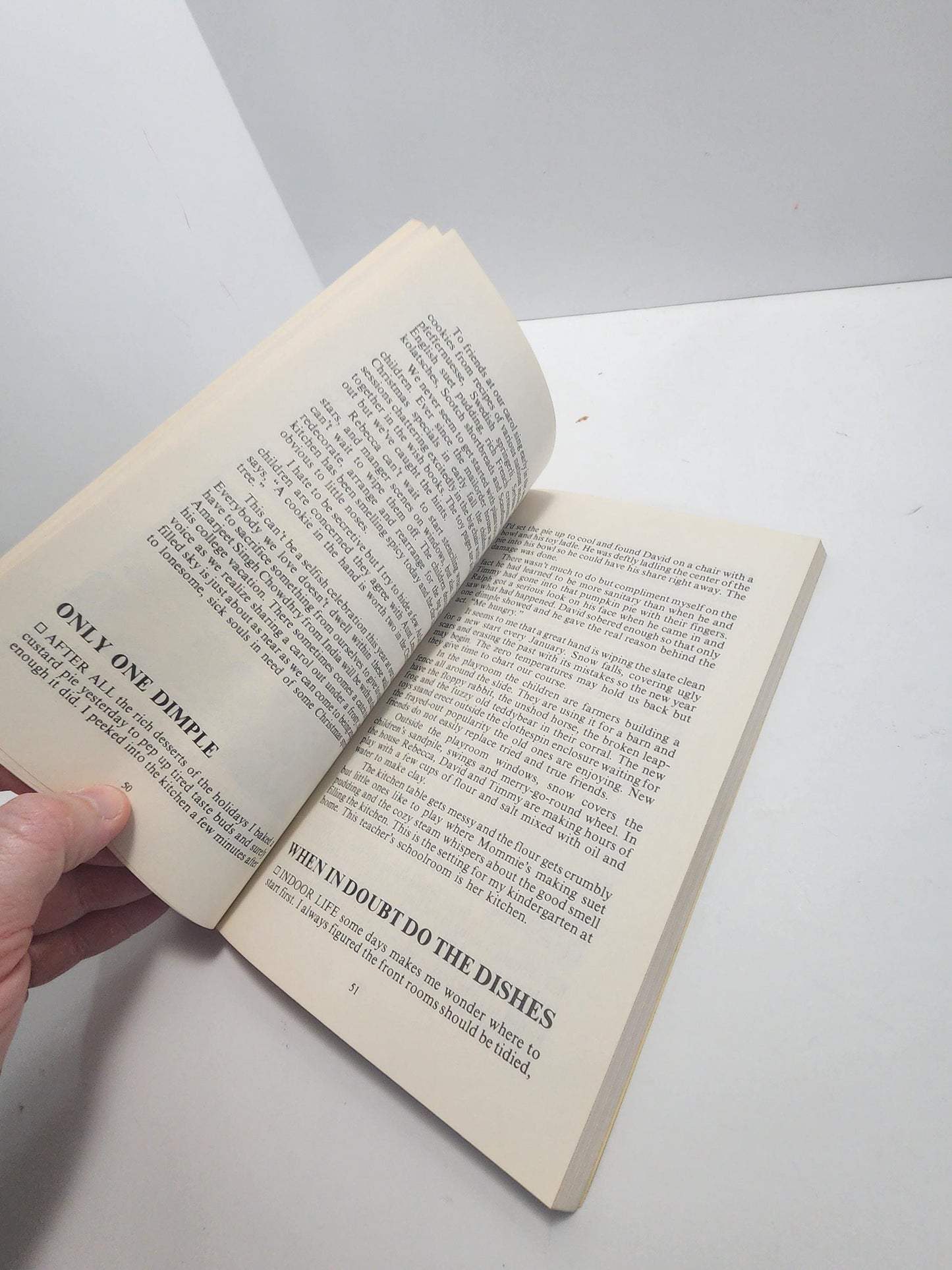 1981 Diary Of The Farmer's Wife - Delight Bobilya Wier - Delight Wier Books - Farmer - Farming - Farmer's Wife - 1980's - Vintage Books