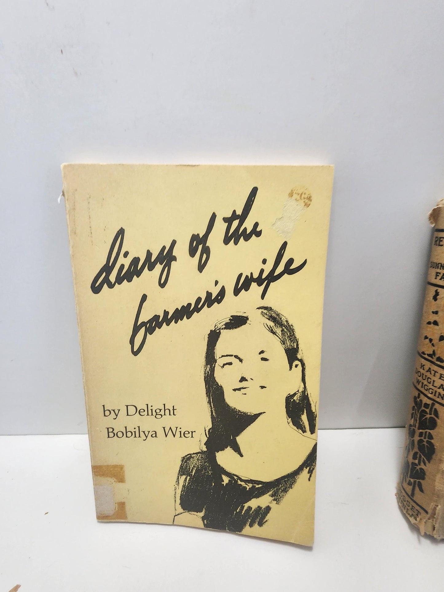 1981 Diary Of The Farmer's Wife - Delight Bobilya Wier - Delight Wier Books - Farmer - Farming - Farmer's Wife - 1980's - Vintage Books
