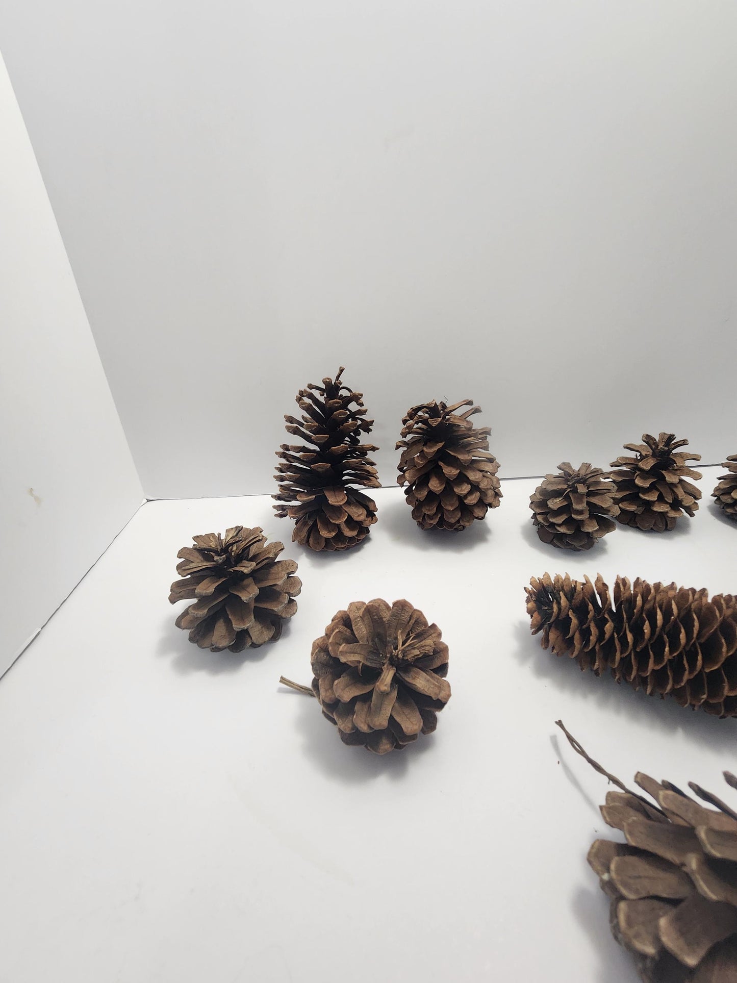 Decorative Pinecones LOT - Decorations - Decor - Outdoors - Pinecones - Christmas - Christmas Decorations