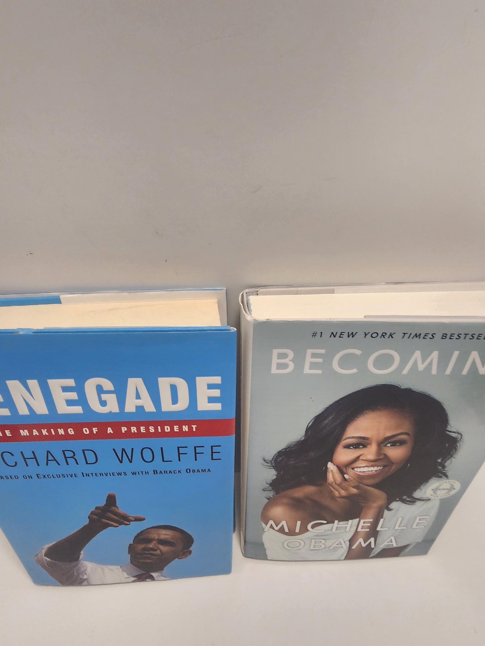 The Obama's Book LOT Of 2 - Presidents - Presidential Books - Obama - Michelle Obama - Barack Obama - Barack Obama Book - History Books