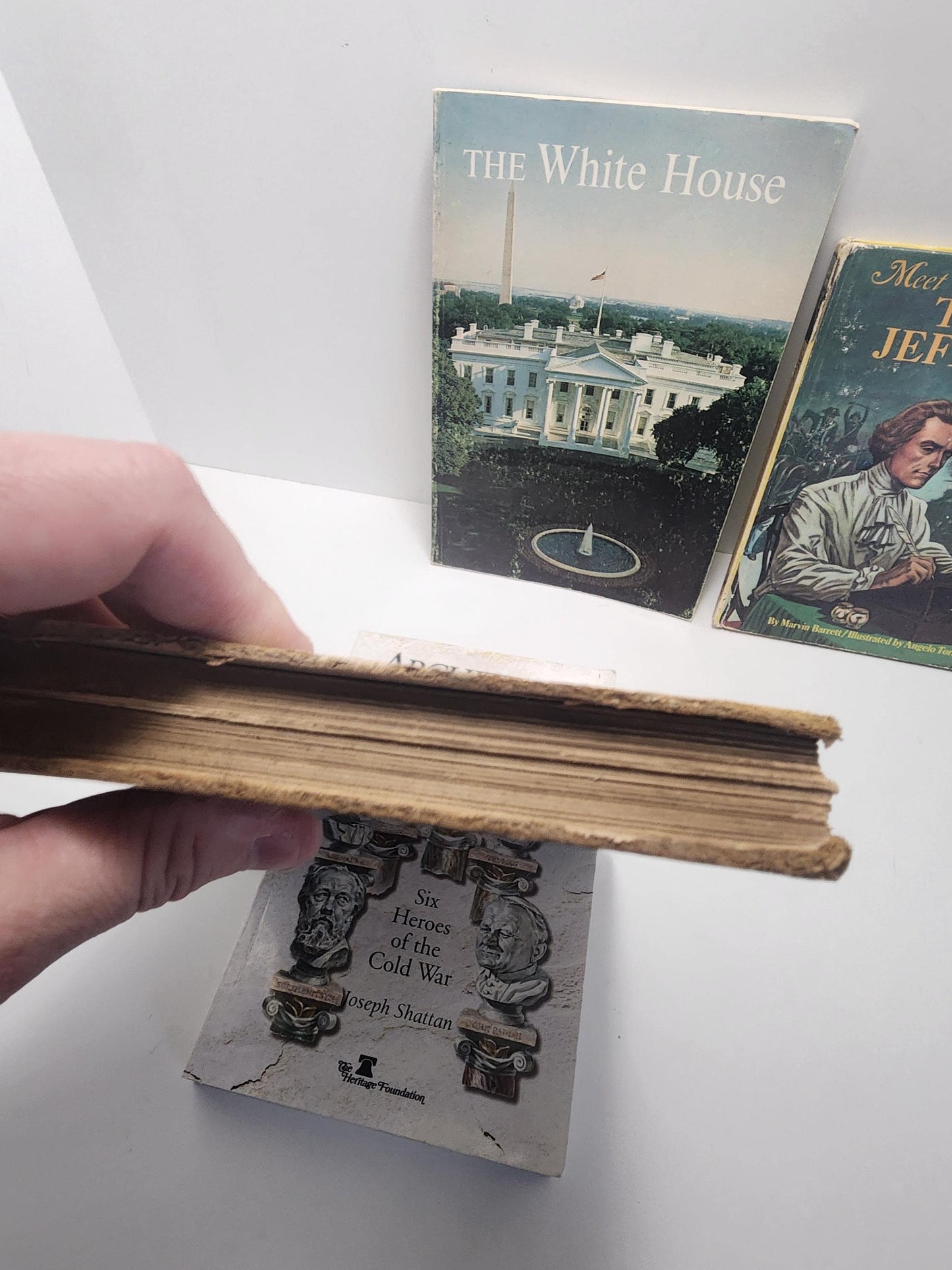 1891 Napoleon Books - The White House - Thomas Jefferson - Presidential Books - World Leaders - 1800's - Antique Books