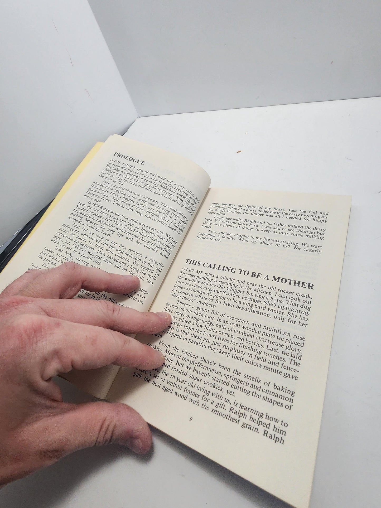 1981 Diary Of The Farmer's Wife - Delight Bobilya Wier - Delight Wier Books - Farmer - Farming - Farmer's Wife - 1980's - Vintage Books