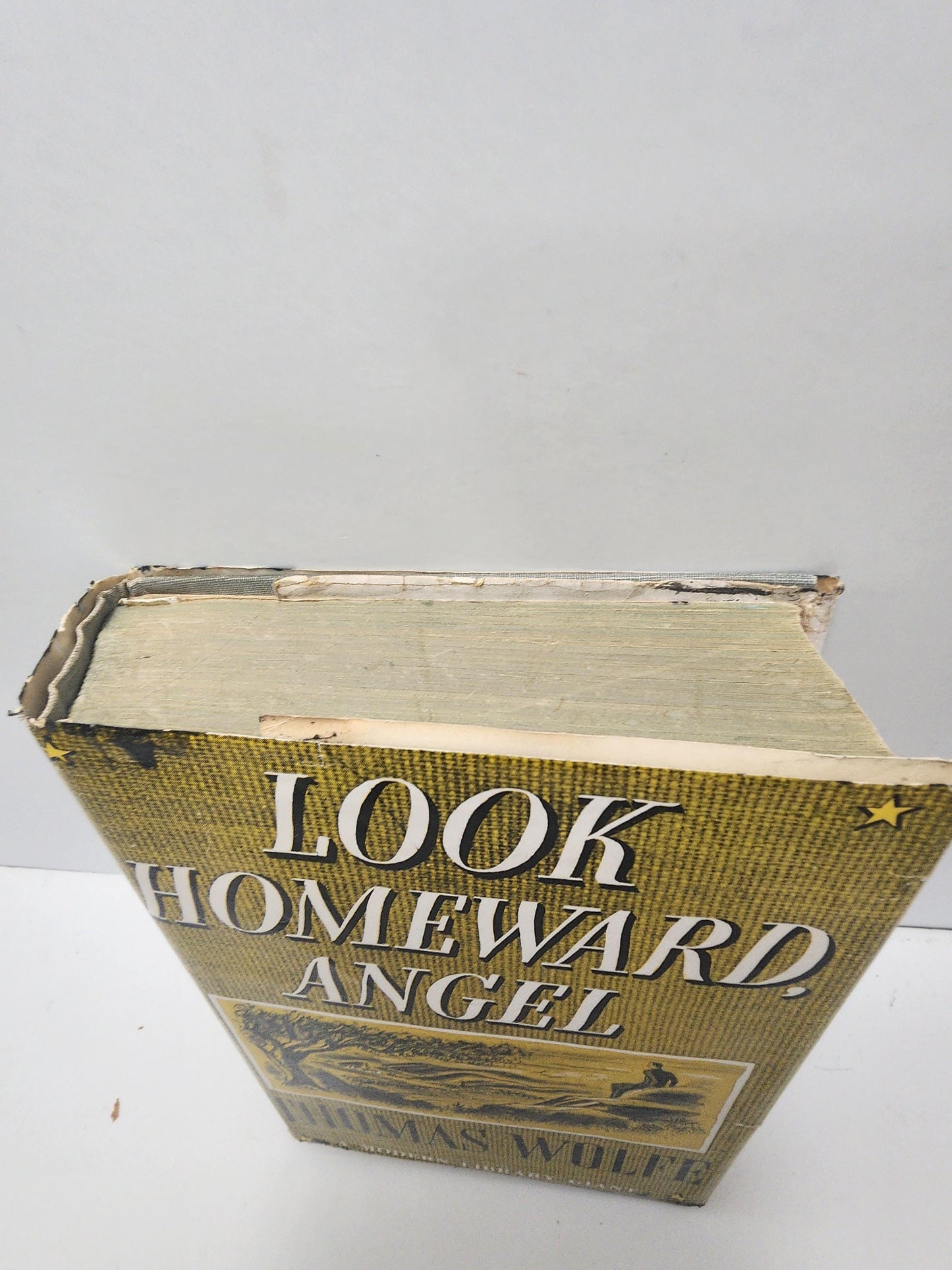 Look Homeward Angel 1957 Thomas Wolfe Hardcover Edition - 1950's - Look Homeward Angel - Thomas Wolfe - Modern Library - Vintage Books